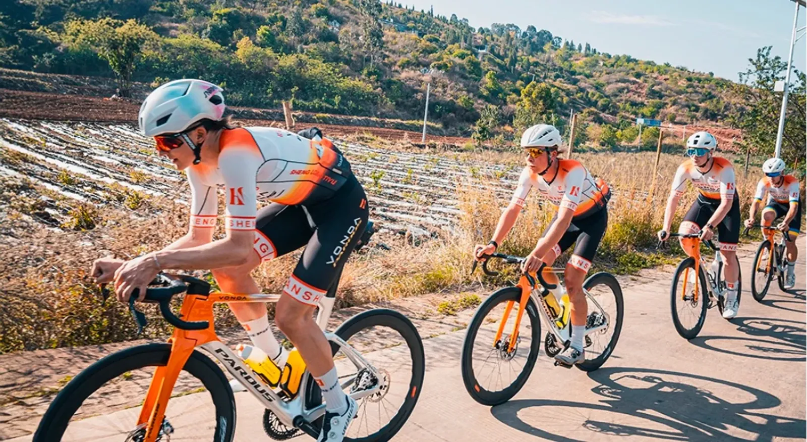 Road Bikes